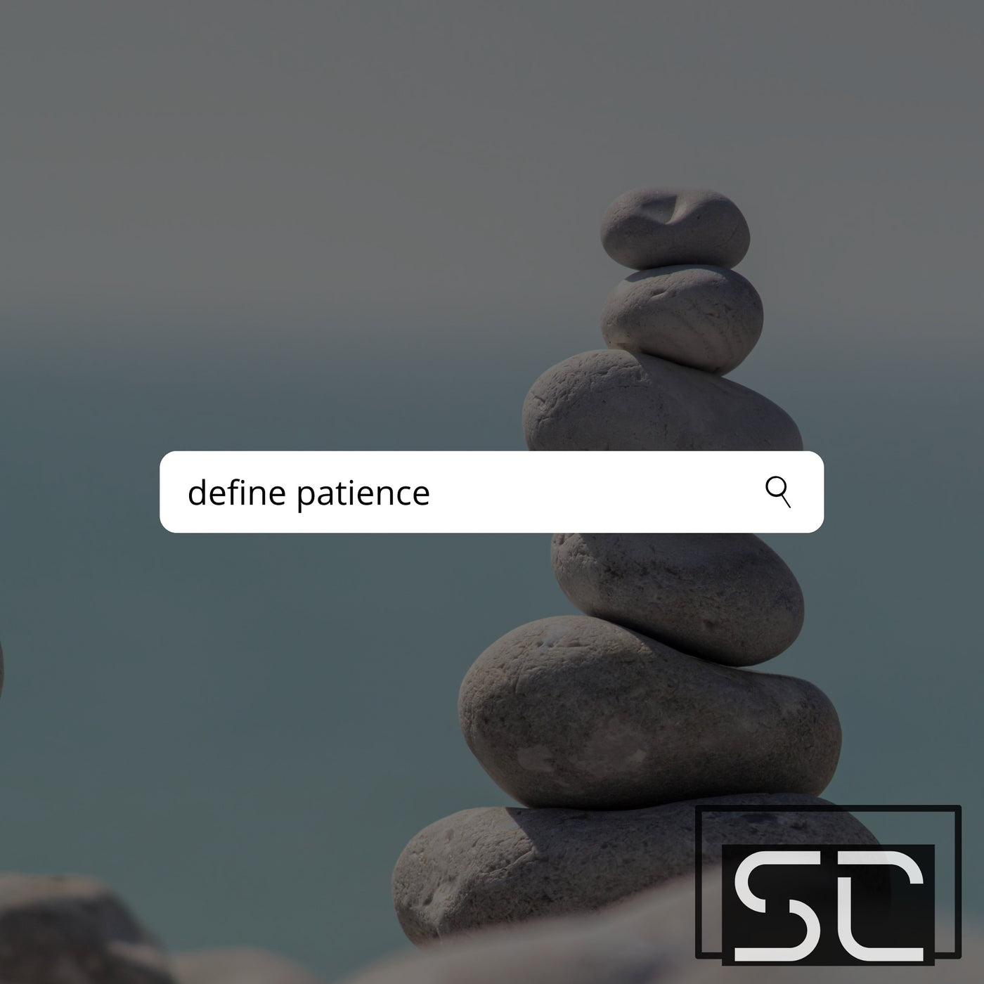 Define Patience